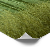 竹林 ポスター (角)