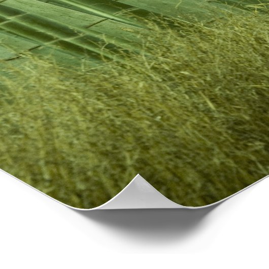 竹林 ポスター (角)