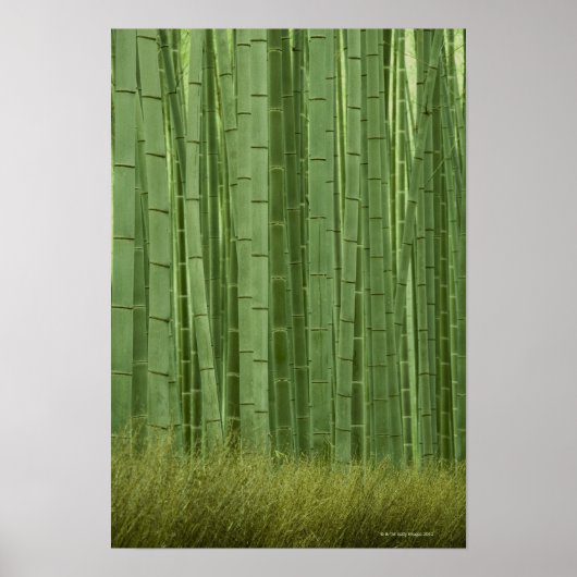 竹林 ポスター (正面)