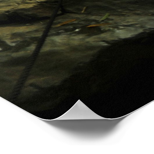 竹林 ポスター (角)