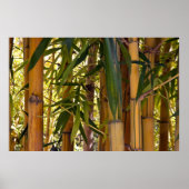 竹林 ポスター (正面)