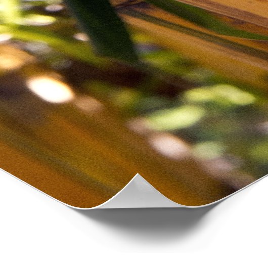 竹林 ポスター (角)