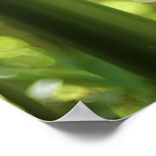 竹林（ポスター） ポスター (角)