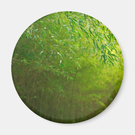 竹林 マグネット (正面)