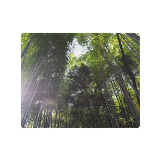 竹林 メタルプリント