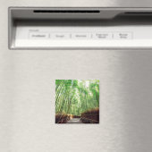 竹林 |嵐山，京都 マグネット (インサイチュ (食洗機))