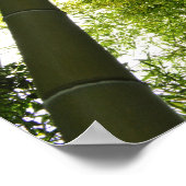 竹林：東京 ポスター (角)