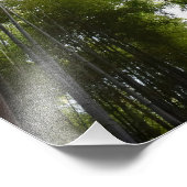 竹林dec フォトプリント            (角)