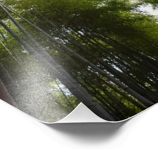 竹林dec フォトプリント            (角)