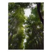 竹林dec フォトプリント            (正面)