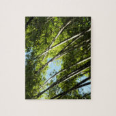 竹植物学自然 ジグソーパズル (縦)