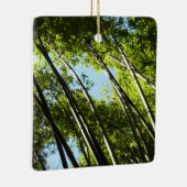 竹植物学自然 セラミックオーナメント (右)