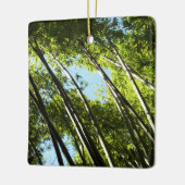 竹植物学自然 セラミックオーナメント (左)