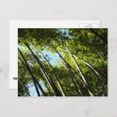 竹植物学自然 ポストカード (正面/裏面)