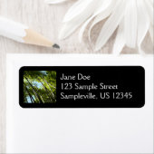 竹植物学自然 ラベル (インサイチュ)