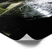 竹泉、日本のイメージ ポスター (角)