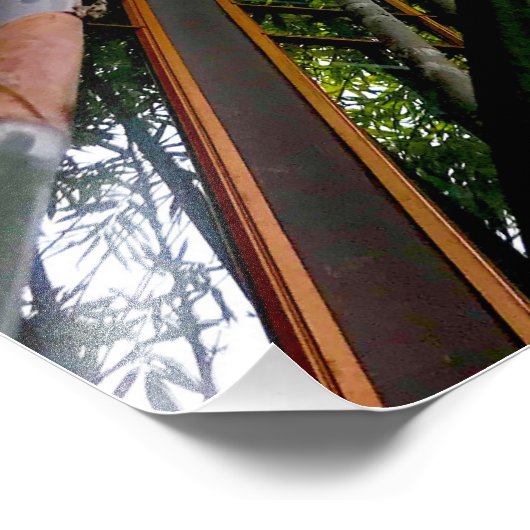 竹美術 フォトプリント            (角)