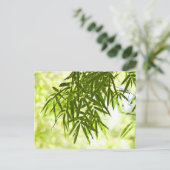 竹葉 ポストカード (スタンド正面)