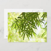 竹葉 ポストカード (正面/裏面)