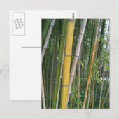 竹葦 ポストカード (正面/裏面)