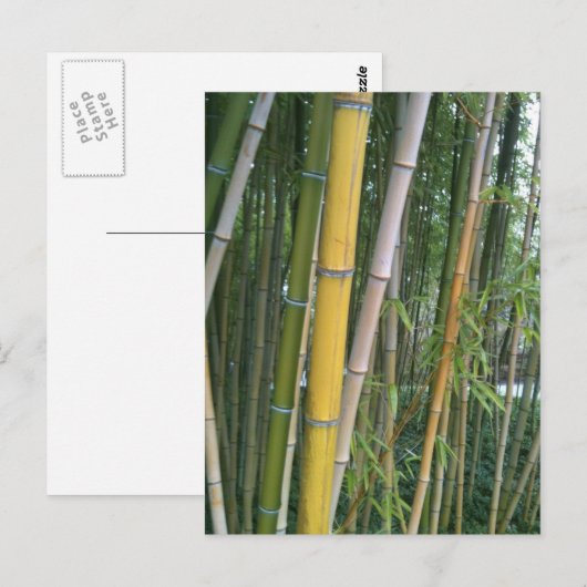 竹葦 ポストカード (正面/裏面)