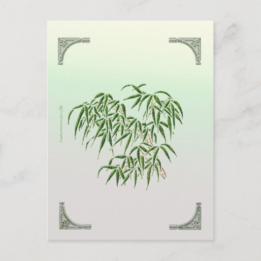 竹製はがき ポストカード (正面)