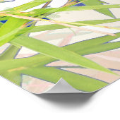 竹製葉鳥 ポスター (角)