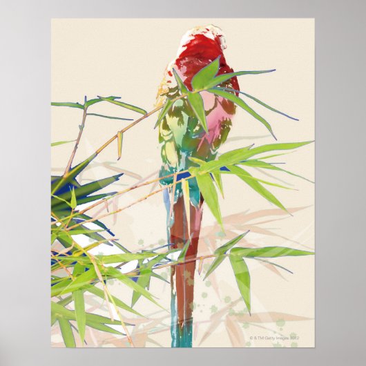 竹製葉鳥 ポスター (正面)