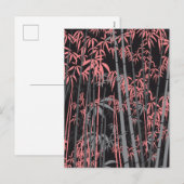 竹5 シーズンポストカード (正面/裏面)