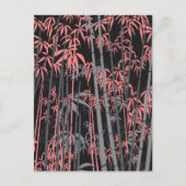 竹5 シーズンポストカード (正面)