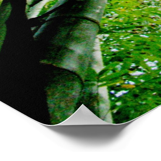 竹 ポスター (角)