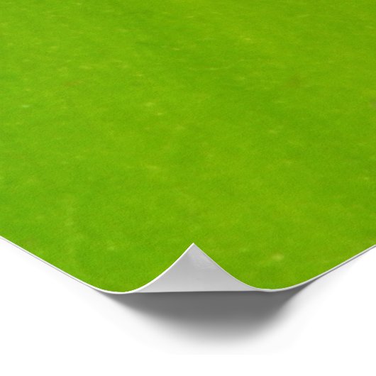 竹 ポスター (角)