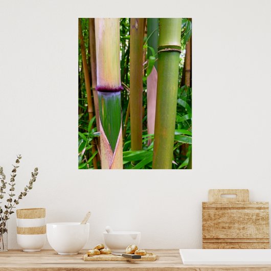 竹 ポスター (キッチン)