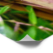 竹 ポスター (角)