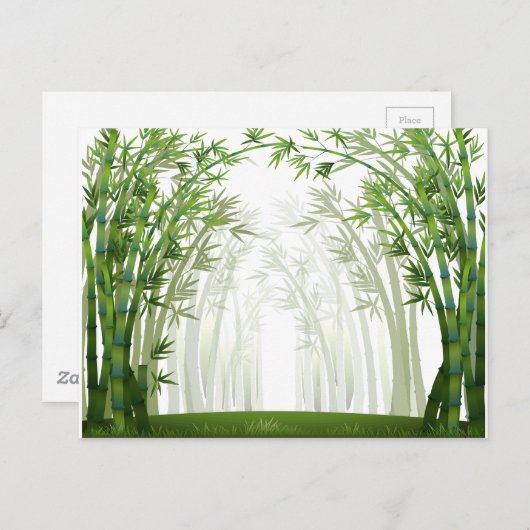 竹 ポストカード (正面/裏面)
