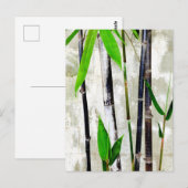 竹 ポストカード (正面/裏面)