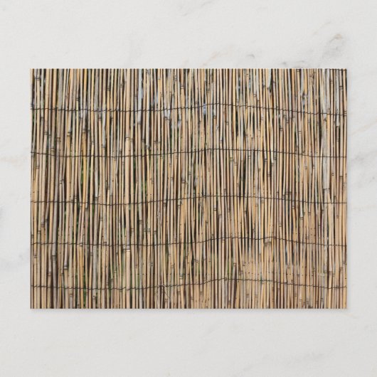 竹 ポストカード (正面)
