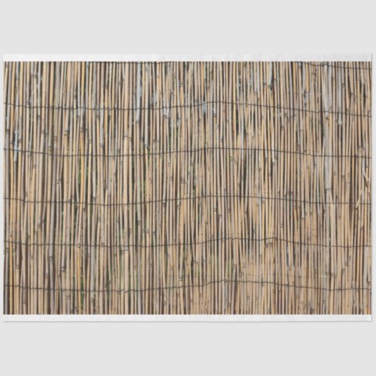 竹 薄葉紙 (正面)