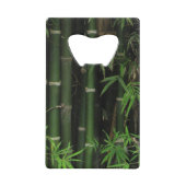 竹…Fao Rai, Nong Khai, Isaan, Thailand クレジットカード栓抜き (正面)