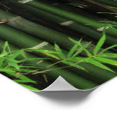 竹…Fao Rai, Nong Khai, Isaan, Thailand ポスター (角)