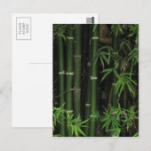 竹…Fao Rai, Nong Khai, Isaan, Thailand ポストカード (正面/裏面)