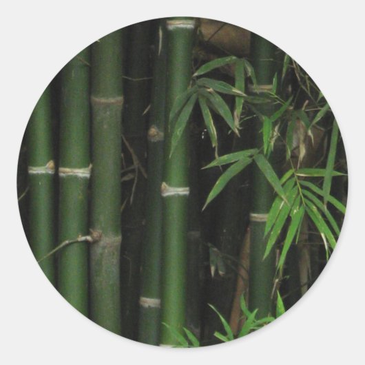 竹…Fao Rai, Nong Khai, Isaan, Thailand ラウンドシール (正面)