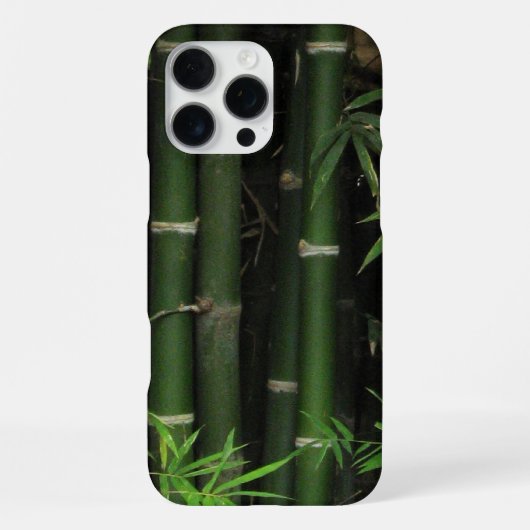 竹…Fao Rai, Nong Khai, Isaan, Thailand iPhoneケース (裏面)
