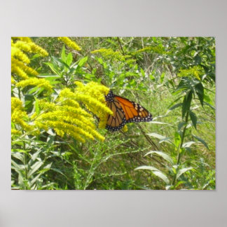 竿を放すと蝶が腐る ポスター