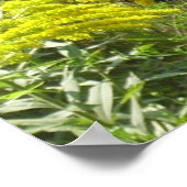 竿を放すと蝶が腐る ポスター (角)