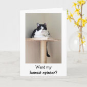 笑いの為に猫の癌サポートカード カード (黄色い花)
