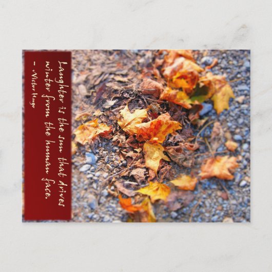 笑いは太陽なり... ポストカード (正面)