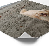 笑いチャック2 ポスター (角)