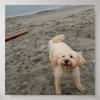 笑いチャック2 ポスター