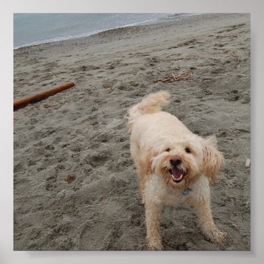 笑いチャック2 ポスター (正面)